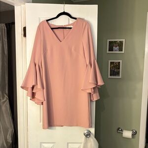 Eliza J Blush Long Sleeve Dress